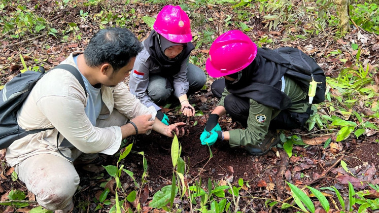 Participants in the MSIB program in Central Kalimantan receive field training on peatland maturity.