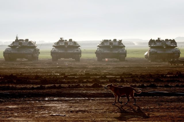 Dogs of war: A dog walks near Israeli tanks deployed at a position along the border with the Gaza Strip on Jan. 2, 2024, amid the ongoing war between Israel and militant group Hamas. 