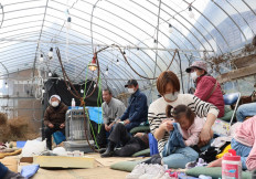Residents shelter inside a plastic greenhouse after being evacuated in the city of Wajima, Ishikawa Prefecture, on Jan. 2, 2024, a day after a major 7.5 magnitude earthquake struck the Noto region in Ishikawa prefecture. Japanese rescuers battled against the clock and powerful aftershocks on Jan. 2 to find survivors of a major earthquake that struck on New Year's Day, killing at least 48 people and causing widespread destruction.