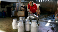 Moo-ve over old ways: Empowering dairy farmers like never before!