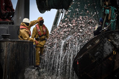 Fishermen unload their catch on a Spanish fishing boat on Feb. 20, 2024, in waters of the Atlantic Ocean some 180 km west of the coast of La Rochelle, western France.