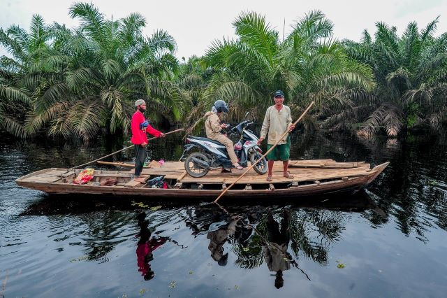Bamboo raft operators row their passenger past a palm oil plantation on a flooded road connecting Jambi and Suak Kandis in Pulau Tigo district, Muaro Jambi regency, Jambi, on Feb. 25, 2024.