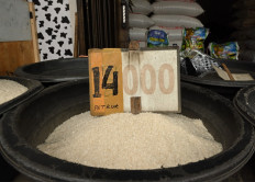 Rice prices begin to fall as KPPU probes cartel practice among traders