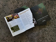 Identifying movers and shakers on the Island of the Gods