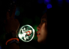 Why Swift's absence has left local fans and officials singing the blues