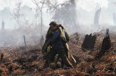 Transformational fasting and ecological rejuvenation 