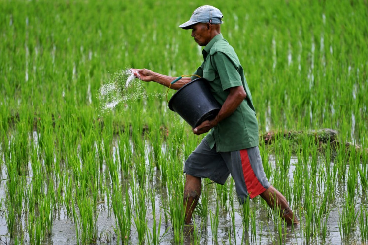 A farmer spreads fertilizer on his paddy field on Aug. 22, 2022, in Lamteuba, Aceh.