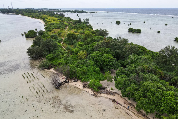 In this aerial picture taken on February 23, 2023, mangrove trees planted by the community in an attempt to slow erosion caused by rising sea levels are seen on Pari island in the Thousand Islands cluster.  Environmentalists have said most of the 41-hectare island could sink by 2050 because of rising sea levels.