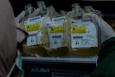 An Indonesian Red Cross (PMI) official processes thrombocytes in blood bags at the organization's office in Surakarta, Central Java, on March 30, 2024. The Surakarta PMI office recorded a doubling of demand for thrombocyte blood transfusions for dengue fever patients in the Greater Surakarta region.