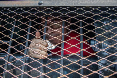 Central Java activist jailed for Facebook post opposing shrimp farming