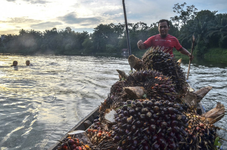 Workers transport palm oil fruit on a boat on Aug. 13, 2022, from plantations along the Kampar River to processing plants in Kampar, Riau.