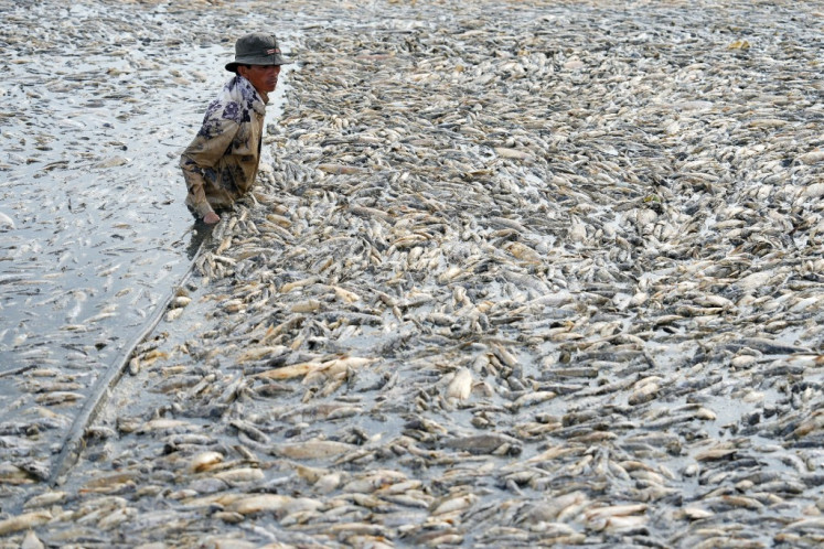 A fisherman collects dead fish caused by renovation works and the ongoing hot weather conditions from a reservoir in southern Vietnam's Dong Nai province on April 30, 2024. 