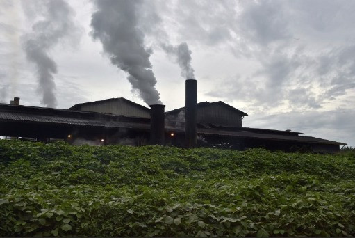Smoky industry: Thick smoke spews from a crude palm oil factory in Kendawangan, West Kalimantan, on Feb. 13, 2019. Palm oil has become a controversial commodity as some accuse the palm oil industry of causing deforestation in the country.