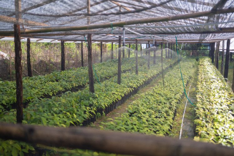 Krakakoa sources its cacao beans mainly from Lampung and West Sulawesi, while also collaborating with established cooperatives in Bali and Aceh.