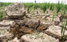 ASEAN must protect Southeast Asian people’s right to food