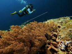 A diver enjoys the beauty of coral reefs on May 6, 2024 in the waters off Tomia Island, Wakatobi regency, Southeast Sulawesi.