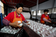 Employees work on a packaging line at a factory that produces salted duck eggs in Huaibei, in eastern China's Anhui province, on May 26, 2024