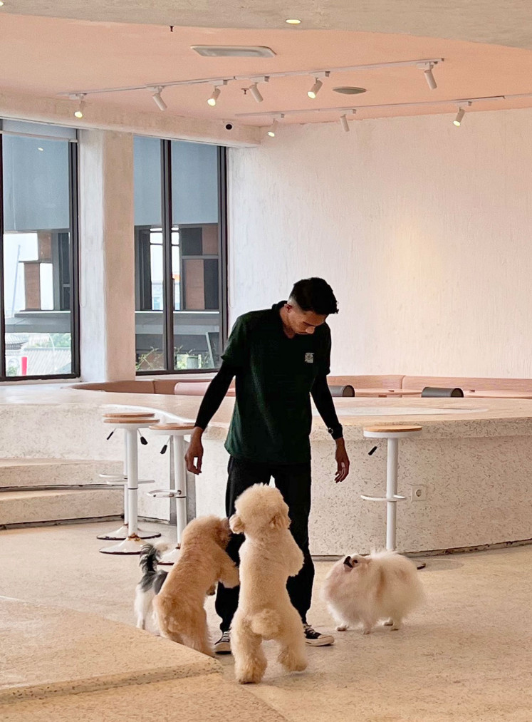 Dogs play with the staff at the indoor recreation area of Hyde Park in Pantai Indah Kapuk, North Jakarta. (Courtesy of JP/Felicia Melody)