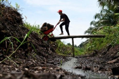 Indonesia eyes EU trade breakthrough as bloc softens green business rules