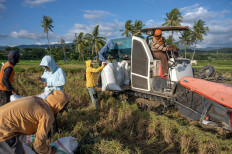 Indonesia revives dream of becoming the world's food barn