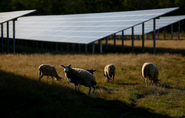 EU will have new climate targets by COP30 summit, von der Leyen says