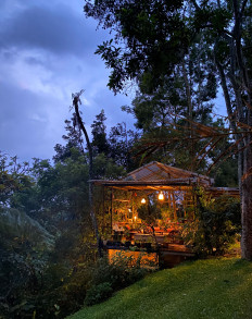 Five surprisingly delicious leaves you can find in the wilds of West Java 