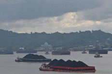 Exports grow 2% in 2024 despite plunge in coal, CPO shipments