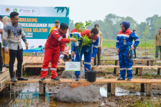 South Sumatra administration and Pertamina Plaju Refinery develop wetland park