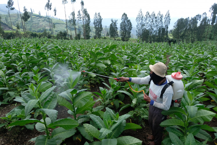 A farmer sprays fertilizer on July 3, 2024, on tobacco plants at a field on the slopes of Mount Sindoro in Temanggung regency, Central Java.