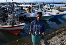 Robust protection for small-scale fishermen in subsidies agreement
