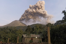 BNPB sends aid to victims of Mt. Lewotobi eruptions