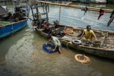 Jakarta's fishers battle rising pollution as government turns blind eye