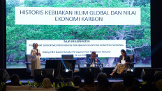 Economic value of mangrove carbon inseparable part of climate change mitigation