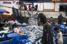 Insurers must promote the blue economy