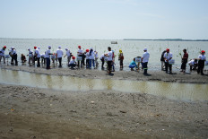 Participants plant mangroves on Aug. 17, 2024, during an event organized by the Indonesian Chambers of Commerce and Industry (Kadin) in cooperation with various companies and organizations in Indramayu regency, West Java. Mangroves are considered a nature-based solution to combat climate change.