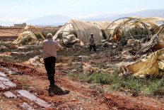 This picture taken during a guided tour by the media office of the Lebanese Shiite movement Hezbollah shows a man salvaging the remains of a destroyed greenhouse at the site of reported overnight Israeli bombardment on Sarein in the Bekaa valley in east-central Lebanon on August 20, 2024. 