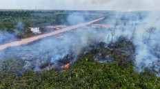 Aerial image of an area of Amazon rainforest affected by illegal fire on the banks of the BR-319 road between Porto Velho, Rondonia State and Manaus, Amazonas State, northern Brazil, on Aug. 22, 2024.