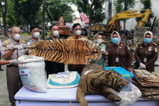 Wildlife trade now 'serious offence' under Singapore organised crime law