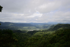 View of the forest in a private reserve in Mindo, Ecuador, taken on Aug. 16, 2024. Small, psychedelic-colored birds fill a wooded area on the outskirts of Quito. A sanctuary of flora and fauna, with endemic and endangered species, divides environmentalists in favor of its conservation and miners in search of a solution to poverty.