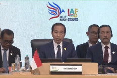 Partnership for prosperity between Indonesia and Africa