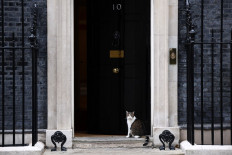 Larry, the Downing Street Cat, is pictured outside of 10 Downing Street, the official residence of Britain's Prime Minister, in London on Sept. 3, 2024. Larry the Downing Street cat is facing a challenge to his position as the British government's chief mouser with the arrival of new Prime Minister Keir Starmer and his family. The Starmers who moved in in over the summer brought their family cat JoJo with them. Now after “negotiations“ with the Starmer children,  who had wanted a German Shepherd dog. it has been agreed that Jojo will be joined by a “Siberian kitten“.