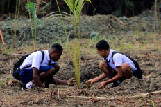 Beyond simple fixes in the fight against climate change