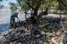 Plastics scourge: A volunteer from the Ecological Observation and Wetlands Conservation (Ecoton), an environmental group based in Gresik, East Java, collects plastic waste from a mangrove forest in Surabaya on Sept. 19 as part of World Cleanup Day 2021.