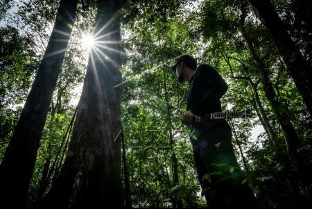 Shady canopy: A resident of Belangian village stands on Aug. 21, 2024, next to a tall benuang laki (Duabanga moluccana blume), a native evergreen species, in the Kahung tropical rainforest of Banjar regency, South Kalimantan.