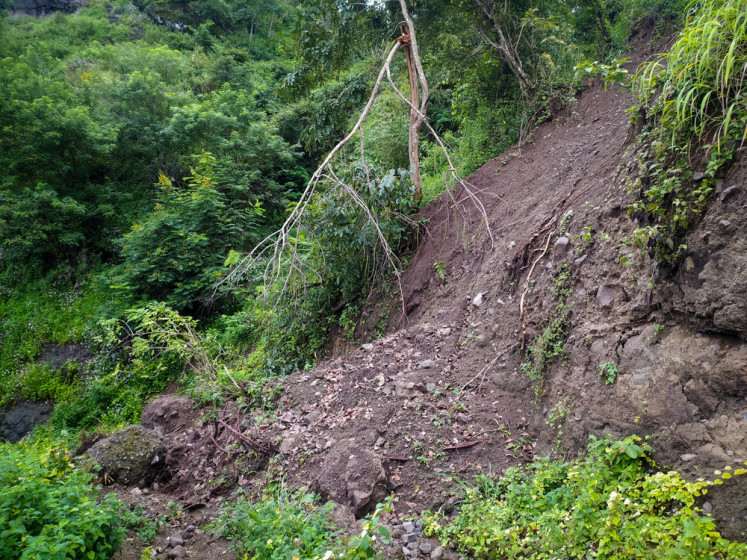 A stock illustration of a landslide in a forest.