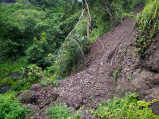 15 dead, dozens missing after landslide at illegal West Sumatra mine