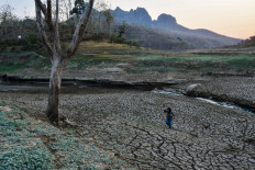 Crisis deepens: 2024 broke all the wrong records