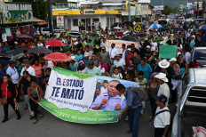 Honduras arrests environmentalist's alleged murderer