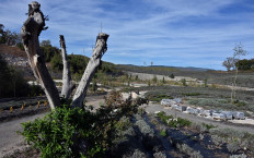 A general view of the “Starry Night“ park landscape, inspired by Van Gogh's work, near the central Bosnian town of Visoko, on Oct. 1, 2024. Bosnian businessman with a passion for Van Gogh's work, created a nature reproduction of  “Starry Night“ on no less than ten hectares, paying tribute to painter's work and transformed a hilly area in central Bosnia into a work of art. Tens of thousands of lavender bushes, grasses and plants form swirls and spirals that, seen from the sky, are unmistakably reminiscent of the celestial configuration painted in 1889 by the Dutch post-impressionist artist.