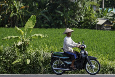 Govt pushes foreign MSME owners in Bali to scale up